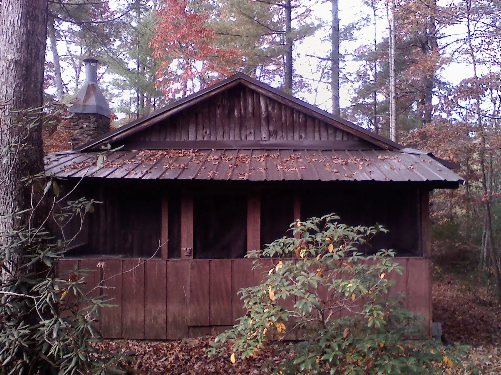 Metal roof over the screened porch of a rustic cabin in Fort Lee